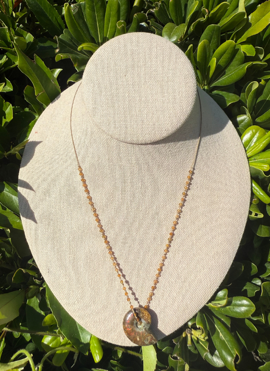 Ammonite Fossil on Yellow Tourmaline